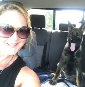 Leader of the Pack Dog Training