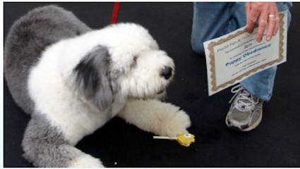 Playful Pups & Performance Training, Inc.