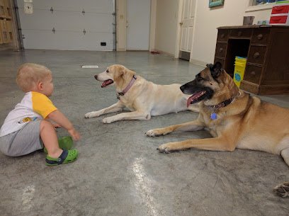 All Phase K9 Training Center