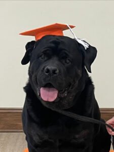 2SpeakDog LLC
