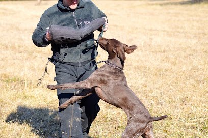 Cobra Canine