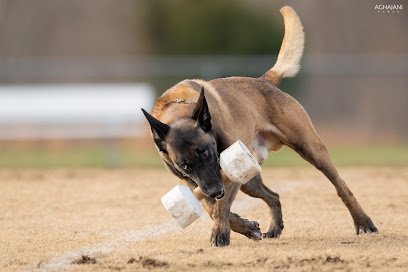 Skyfall Kennels LLC