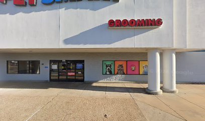 PetSmart Dog Training