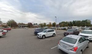 PetSmart Dog Training