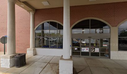 PetSmart Dog Training