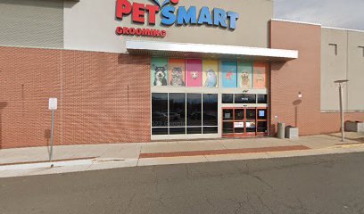 PetSmart Dog Training