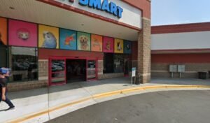 PetSmart Dog Training