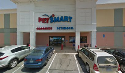 PetSmart Dog Training