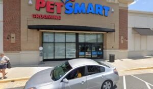 PetSmart Dog Training