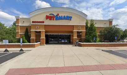 PetSmart Dog Training