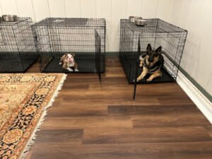 Family Pets by Design
