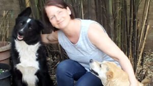 Paws Down Pets Dog Training