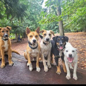Antie Kels’s Furry Monsters