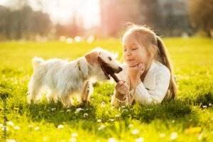 Kelley’s K-9 camp LLC