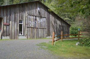 Dog Barn Training