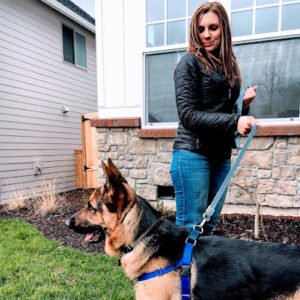 Balanced Solutions Dog Training, LLC