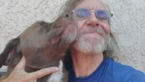 Freddie B.’s Dog Teaching, L.L.C.