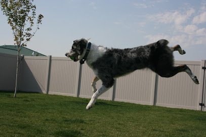 Al White’s Dog Training LLC
