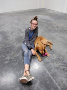 Blissful Pawz Dog Training