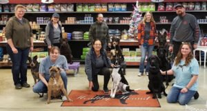 Klug K9 Training