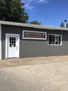 Dog Training 101