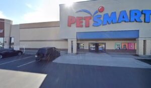 PetSmart Dog Training