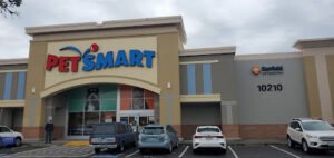 PetSmart Dog Training