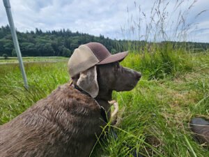 Pepper Retriever Grounds