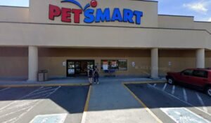 PetSmart Dog Training