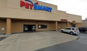 PetSmart Dog Training