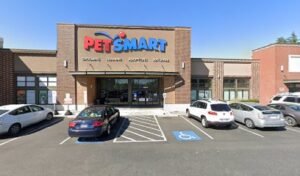 PetSmart Dog Training