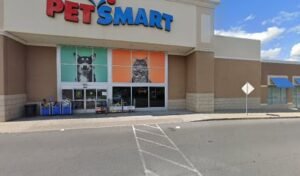 PetSmart Dog Training