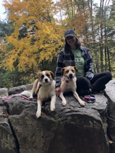 Primal Mountain K9 LLC