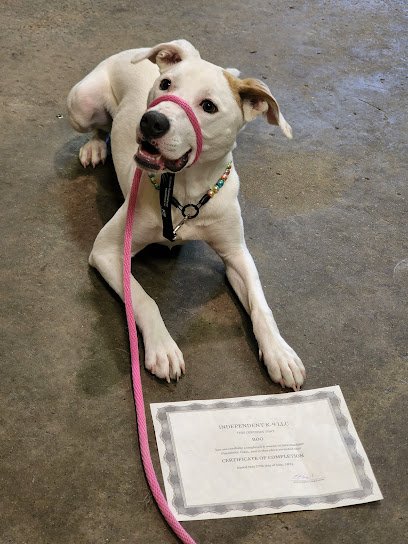 Independent K-9 L.L.C.