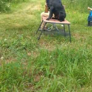 Grand River Kennels