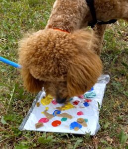 Pawsitive Dog LLC