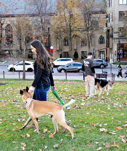 Wunderdog Dog Training Madison