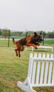 Unleashed K9 Academy, LLC