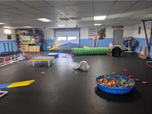 Canine Enrichment Center
