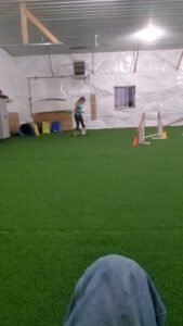 Coaching K-9’s LLC