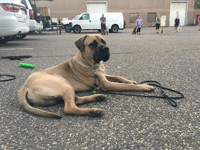 Stable K9 Training