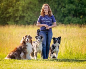 All Paws In Dog Training LLC