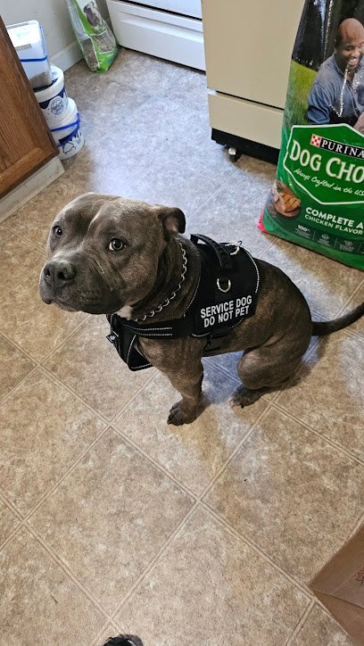 Jessiffany Canine Services, LLC