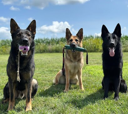 Elite Canine