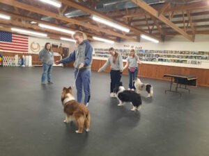 Sheboygan Dog Training Club