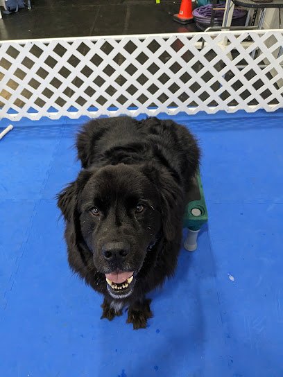 Janesville-Beloit Kennel Club