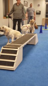 K-9 Elementary LLC