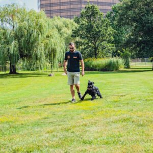 Stayyy.com: Dog Training Bloomington Office