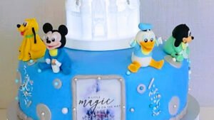 The Real Cake Baker