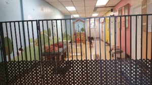 PJ’s Pet Cafe